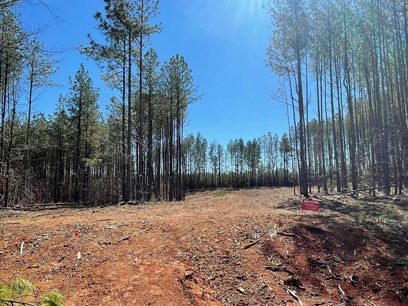Wooded property prepared for residential development